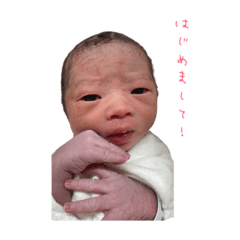 NOZOMI_20230813114450