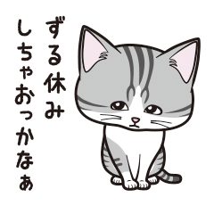 nyanchokorin(mackerel white cat)