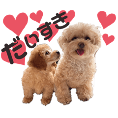hana_20230813093053
