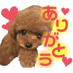 kaede_20230813090800