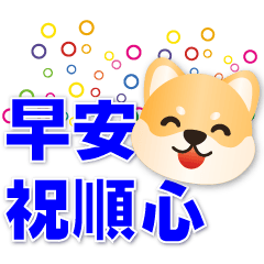 Q Shiba Inu-Practical Phrases-Workplace