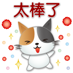 cute Calico cat- practical-everyday life