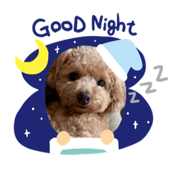 megumi_20230813143852