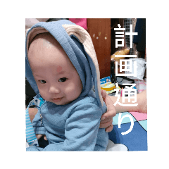 辰鼻鼻
