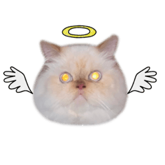 Elizabeth says meow – LINE stickers | LINE STORE