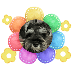 Sakura_20230814021546