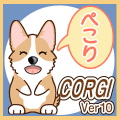 Daily life of Corgi Version 10.