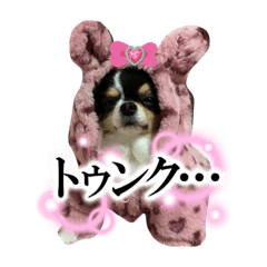 sakura_20230814022034