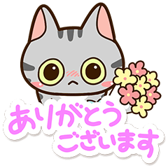 Sticker of American shorthair Cat.8