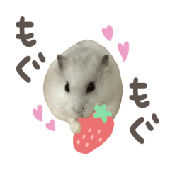 syunta's sticker