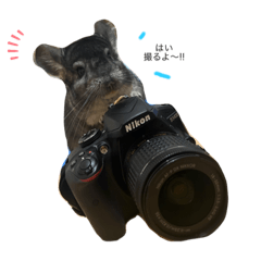 aozora_20230814123454