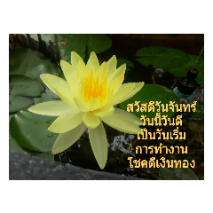 ทักทาย สวัสดีวันจันทร์