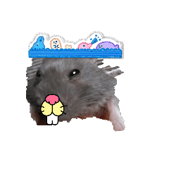 I hope you have a nice day-by.arisa