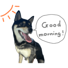 Mameshiba Taro