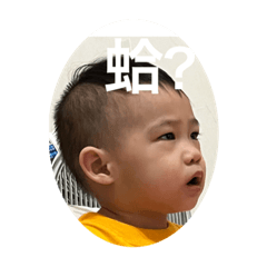 adzuki bean 紅豆