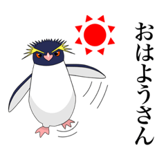 関西弁を使うイワトビペンギン。