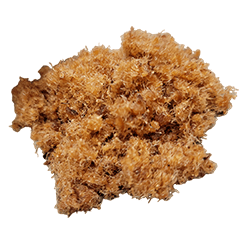 Food Series : Some Dried Fish Floss #2