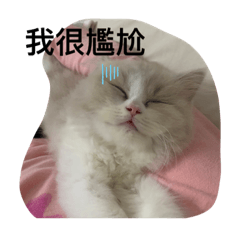 咪醬還有姊姊哥哥