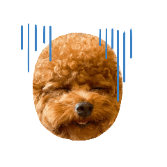小吉ㄅㄞ