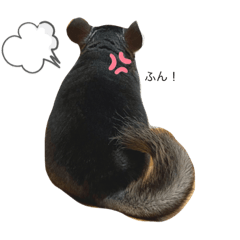 aozora_20230814171922