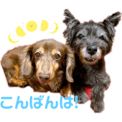 HANA_20230815091019