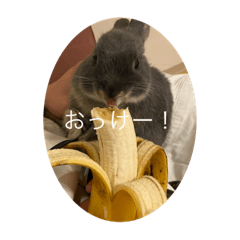 punipuni_20230814212831