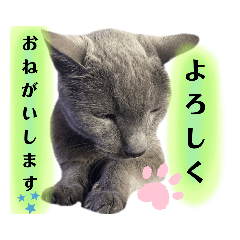 koto_20230814175214