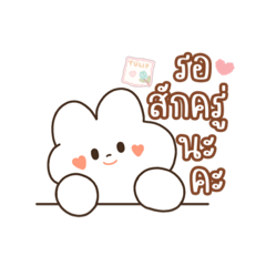 แอดมิน555