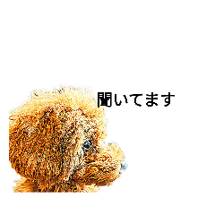 kuma_20230814221148