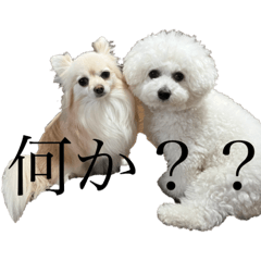 HIYORI_20230815003000