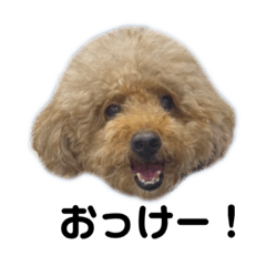 nozomi_20230814230242