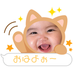 aoi_20230814182925