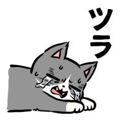 Sukehachi the Tuxedo Cat