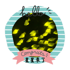 我是星星魚