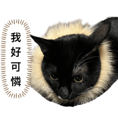 泱子與她的好朋友