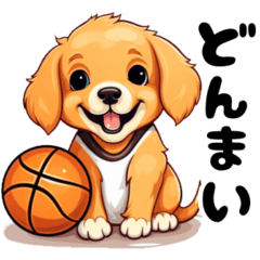 Dog love basketball