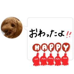 kana_20230815003400