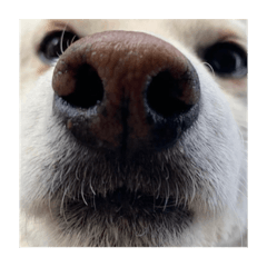 Sunny_20230815002950