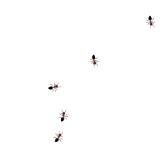 Ants on the screen move.(Revision)