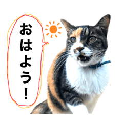 hana_20230815143041