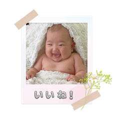omochi_20230815154209