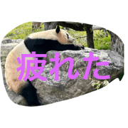 norio0928@_20230815160235