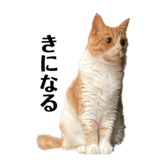 Nozomi_20230815165428