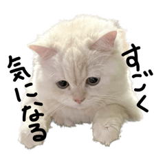 aoi_20230816120028