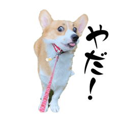 Hana_20230815212926