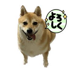 kana_20230815192532