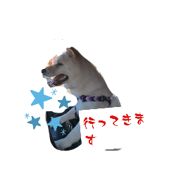 Hamamoto_20230815180559