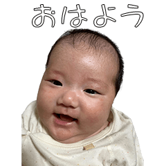 kokona 1-2month