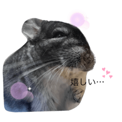 aozora_20230816114338