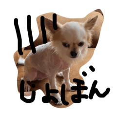 kosuke_20230816123942